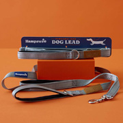 Hampaws Personalised Dog Lead with Reflective Stitching