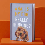 What is My Dog Really Thinking Book